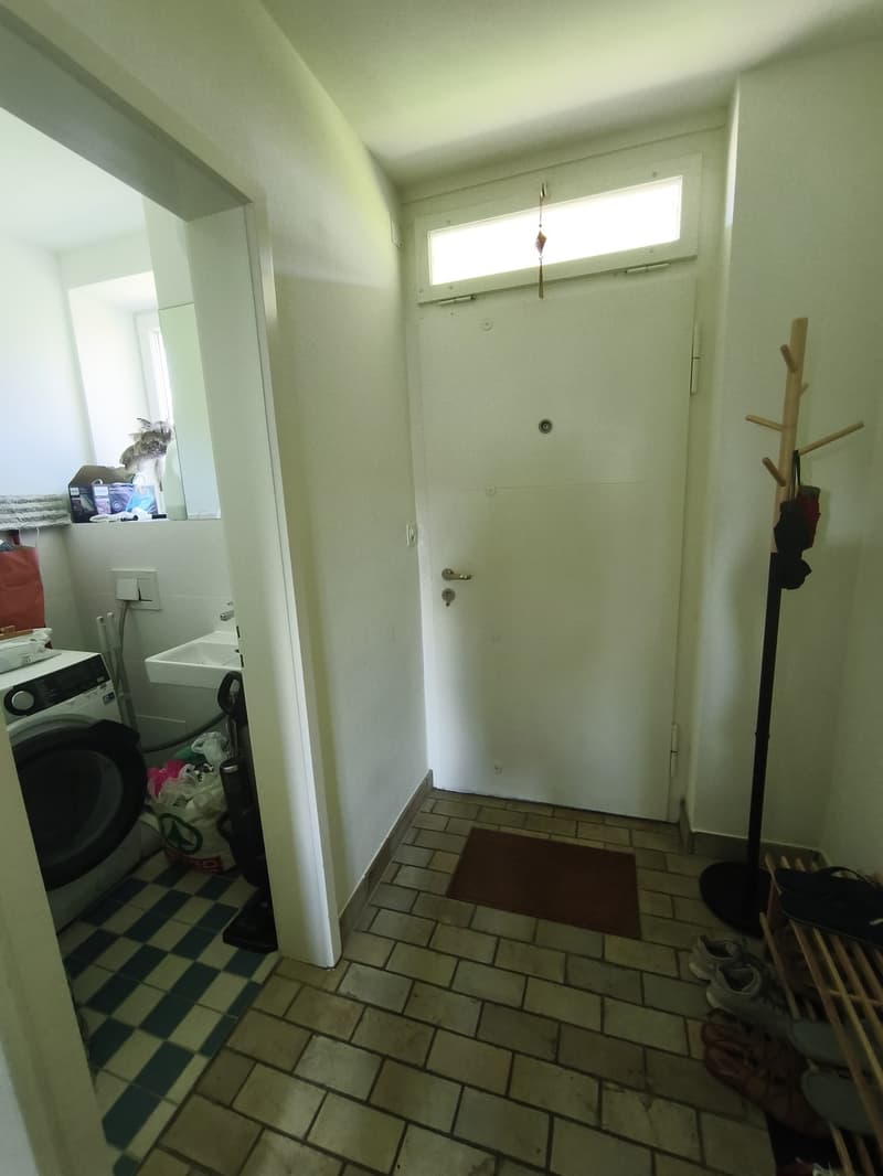 Calm and fresh apartment (6)