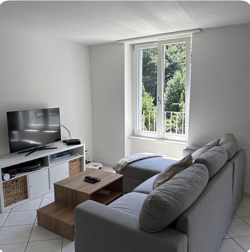 Bright room in the center of Wiedikon (1)