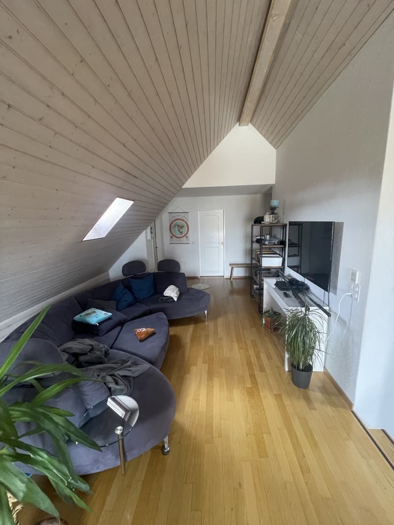Camera in appartamento maisonnette spazioso a Wädenswil (7)