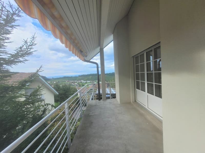 Ampio appartamento in un'area verde con vista sul lago (4)