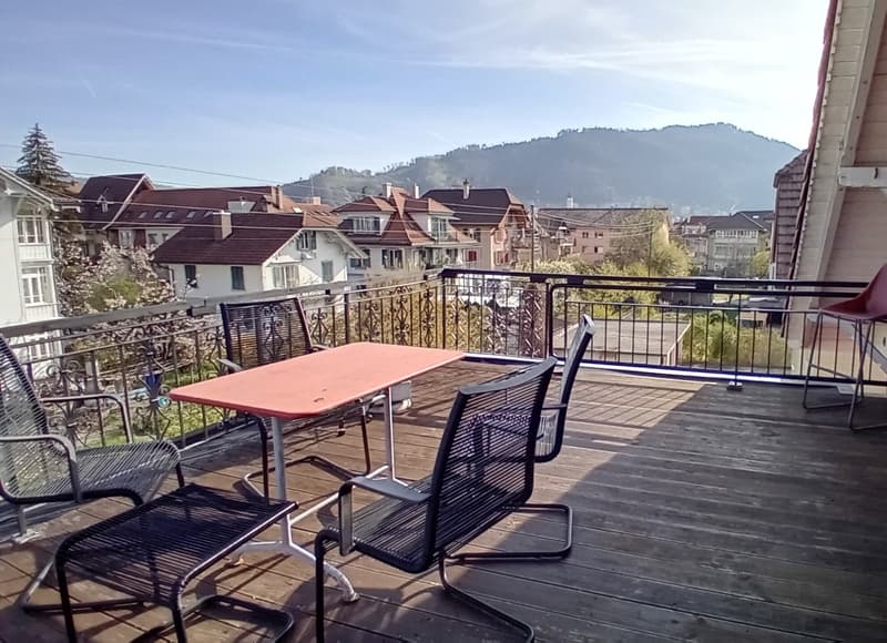 Living in the city of Thun, furnished, temporary in the attic terrace (4)