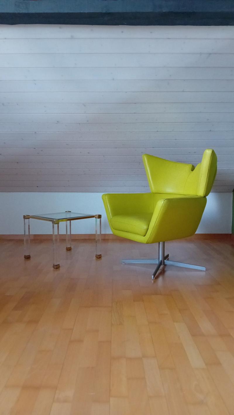 Living in the city of Thun, furnished, temporary in the attic terrace (3)