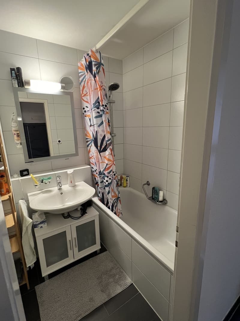 TEMPORARY Sublet in Oerlikon, 13.08.26 - 06.09.26 (or 13.09.26) (11)