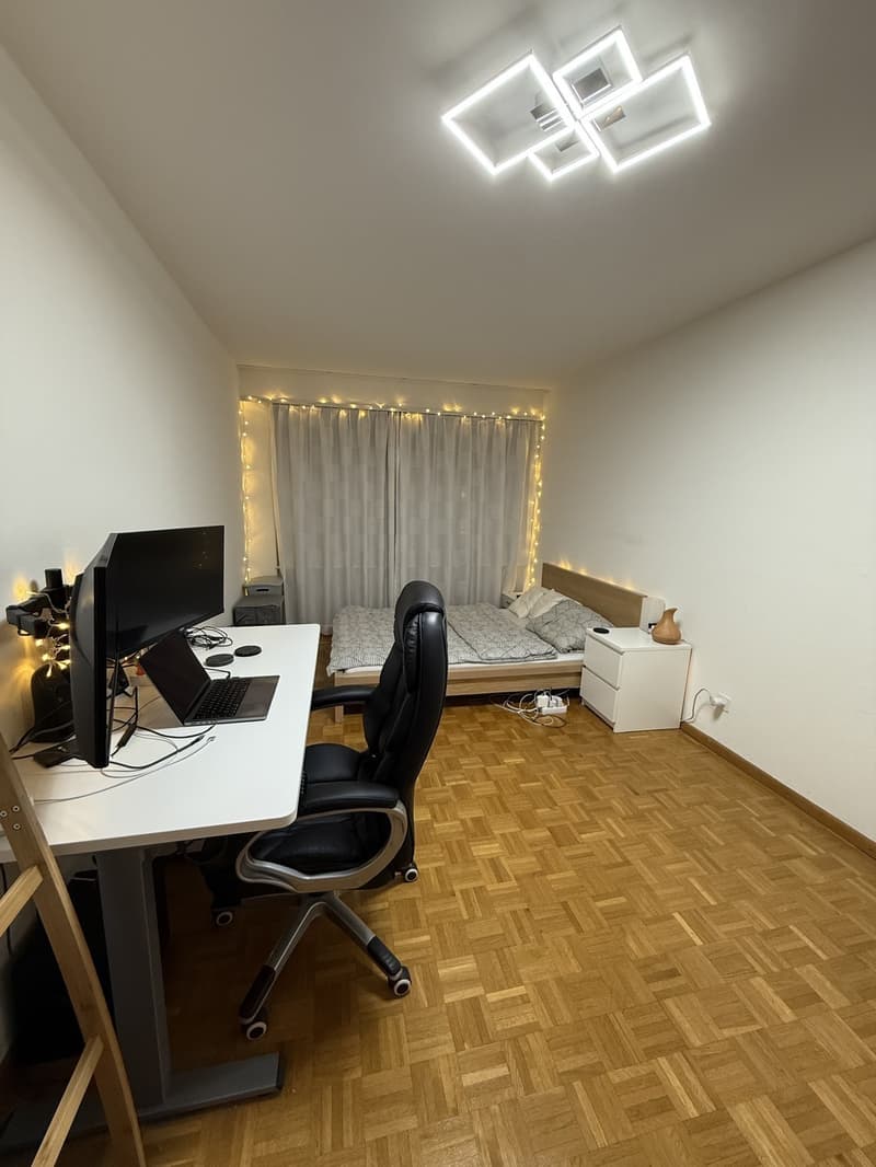 TEMPORARY Sublet in Oerlikon, 13.08.26 - 06.09.26 (or 13.09.26) (12)