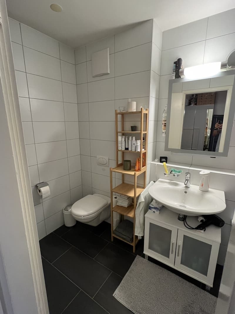 TEMPORARY Sublet in Oerlikon, 13.08.26 - 06.09.26 (or 13.09.26) (10)