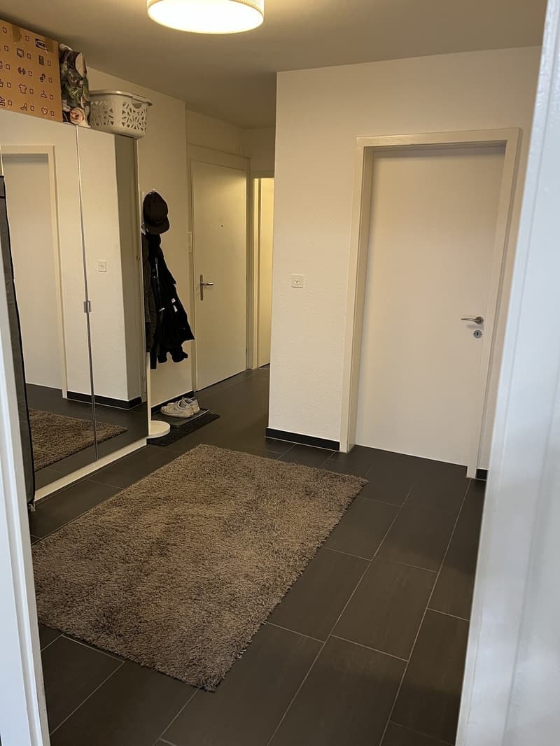 TEMPORARY Sublet in Oerlikon, 13.08.26 - 06.09.26 (or 13.09.26) (6)
