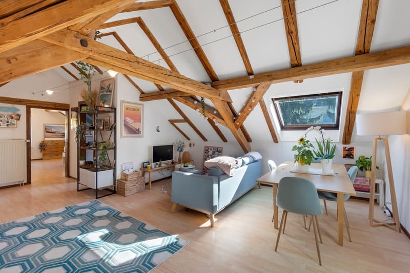 Furnished Apartment for Sublease 6 months Zurich city center, Wiedikon district (1)