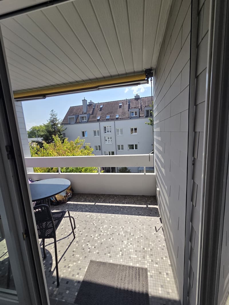Furnished Room for Rent in Küsnacht Available 1 September 20 (5)