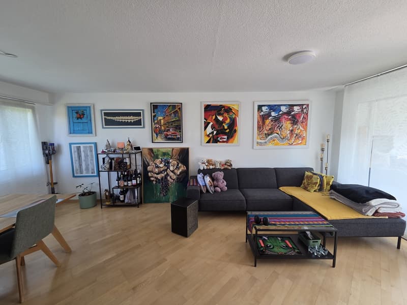 Furnished Room for Rent in Küsnacht Available 1 September 20 (2)