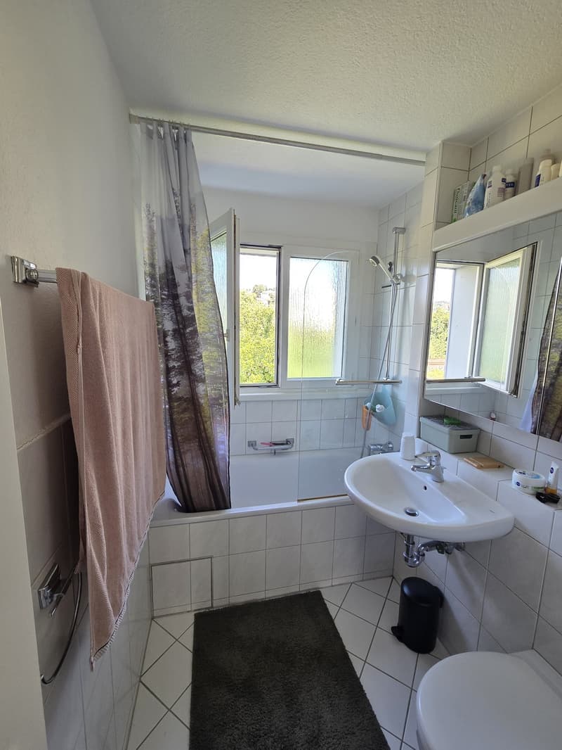 Furnished Room for Rent in Küsnacht Available 1 September 20 (4)