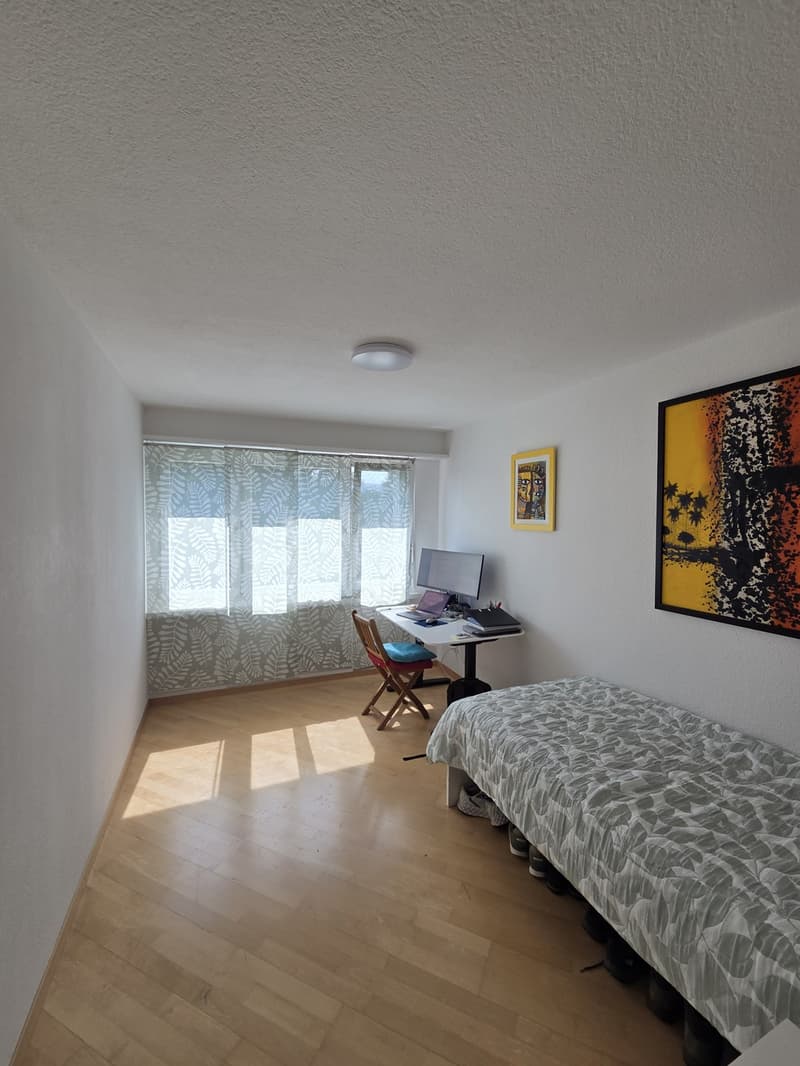 Furnished Room for Rent in Küsnacht Available 1 September 20 (1)