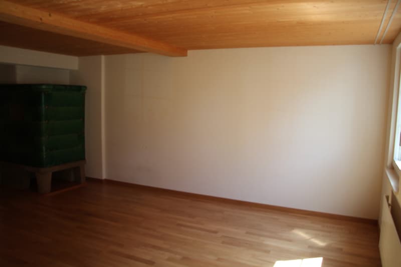 Ruhige 2.5-Zimmer-Wohnung in Oberwil bei Zug nahe am Zugersee (4)