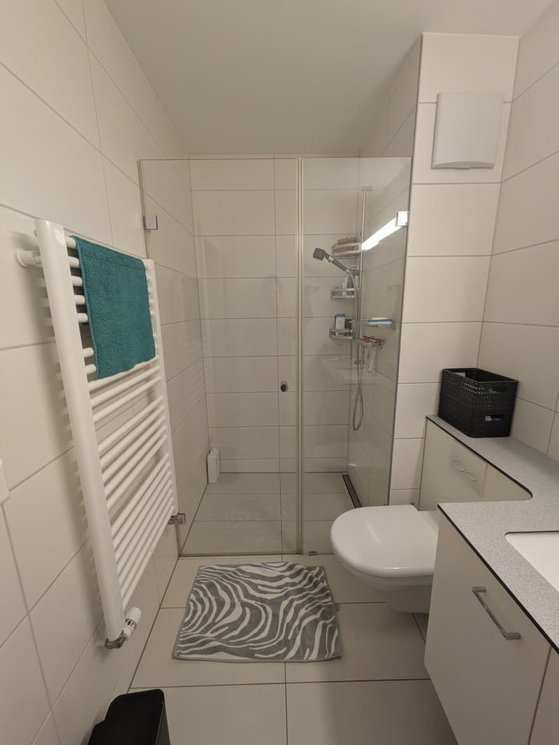 Chambre meublée en appartement central de 3,5 pièces à partir du 1er septembre (9)