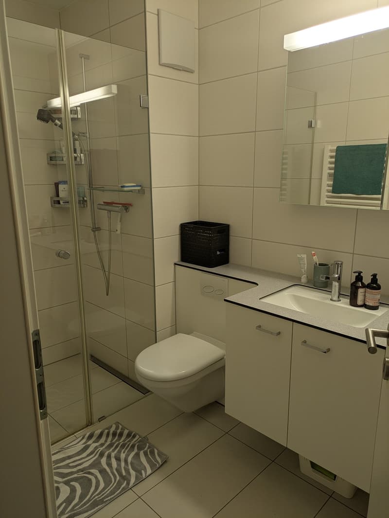 Chambre meublée en appartement central de 3,5 pièces à partir du 1er septembre (10)