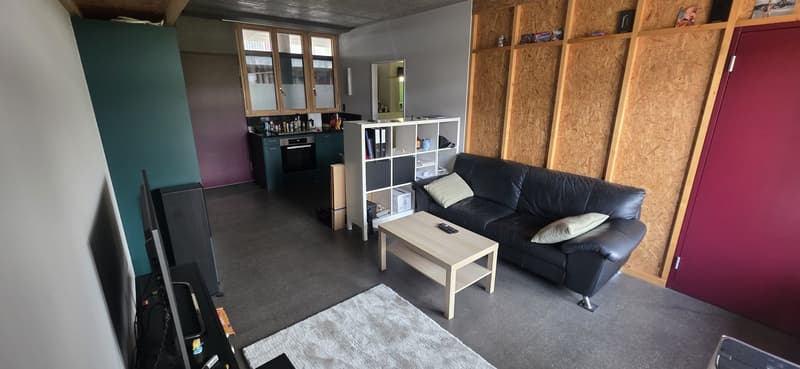 Helle 2.5-Zimmer-Wohnung in Schlieren (5)