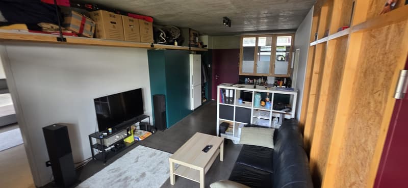 Helle 2.5-Zimmer-Wohnung in Schlieren (2)