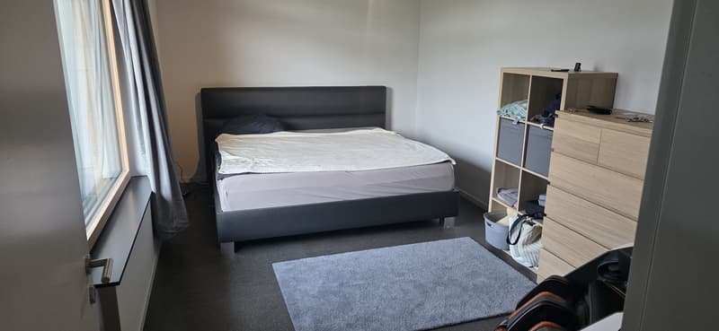 Helle 2.5-Zimmer-Wohnung in Schlieren (8)
