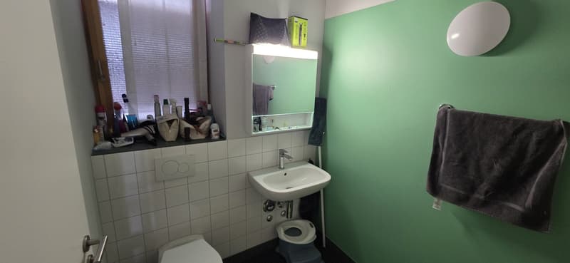 Helle 2.5-Zimmer-Wohnung in Schlieren (3)