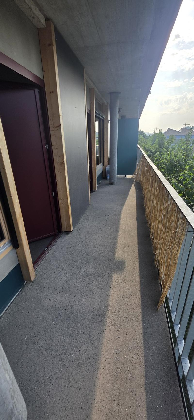 Helle 2.5-Zimmer-Wohnung in Schlieren (6)