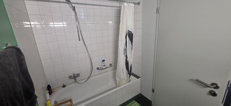 Helle 2.5-Zimmer-Wohnung in Schlieren (4)