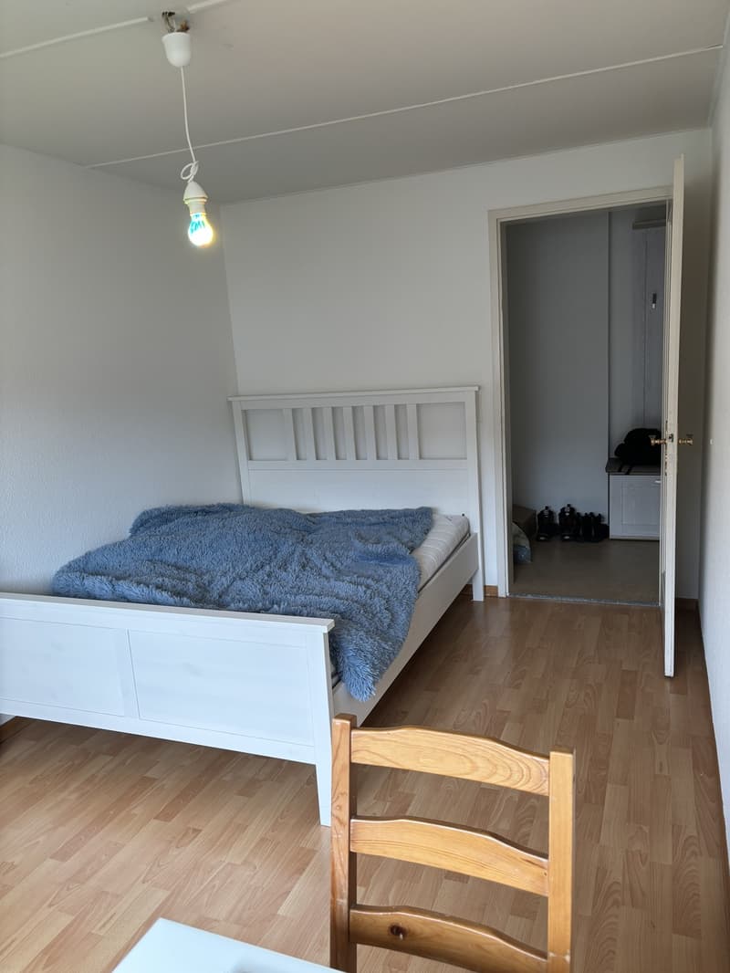 Room in shared apartment (1)