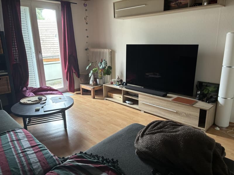 Room in shared apartment (3)