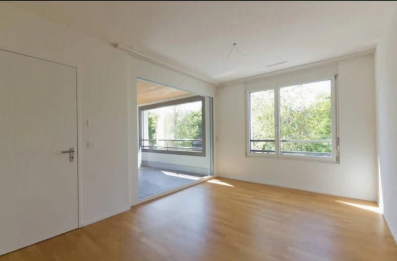 Helle 3.5-Zimmer Wohnung im Zentrum von Rüti (1)
