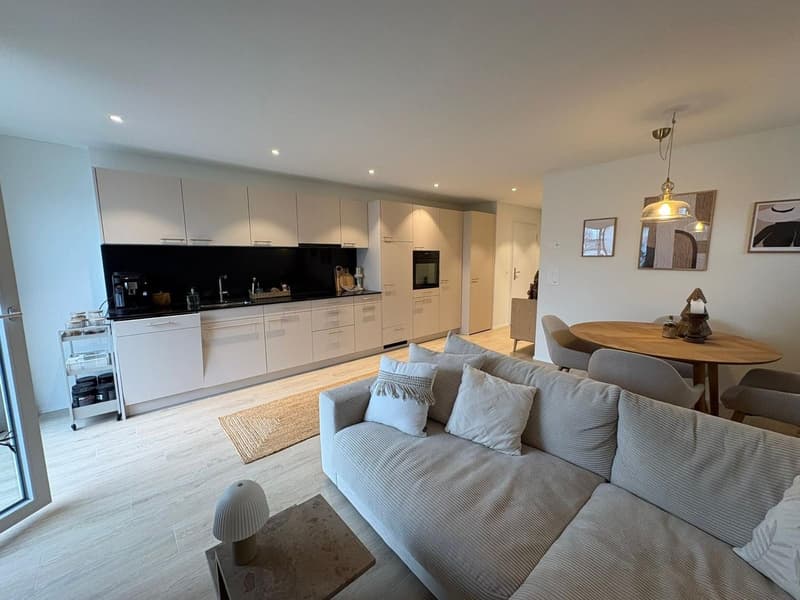 Appartement 2.5 pièces (2)