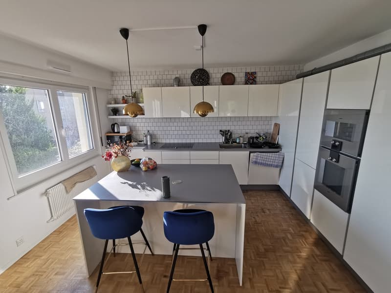 Cozy furnished room in sunny lake view flat (6)