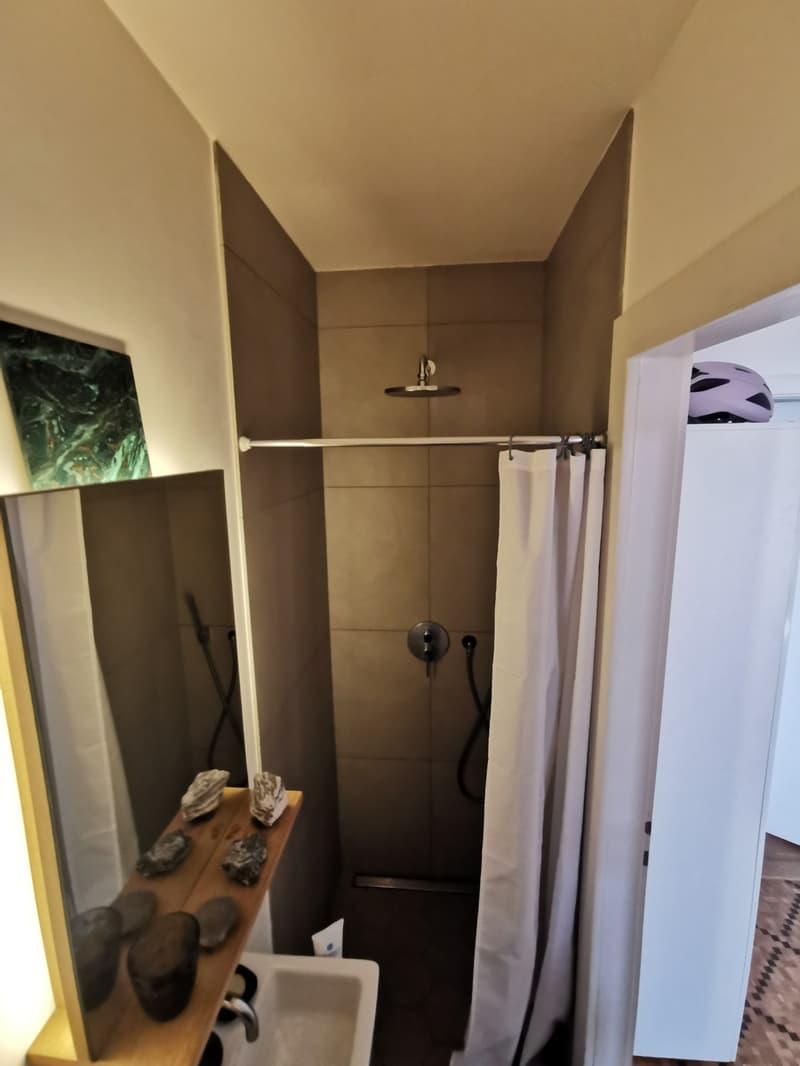 Cozy furnished room in sunny lake view flat (4)