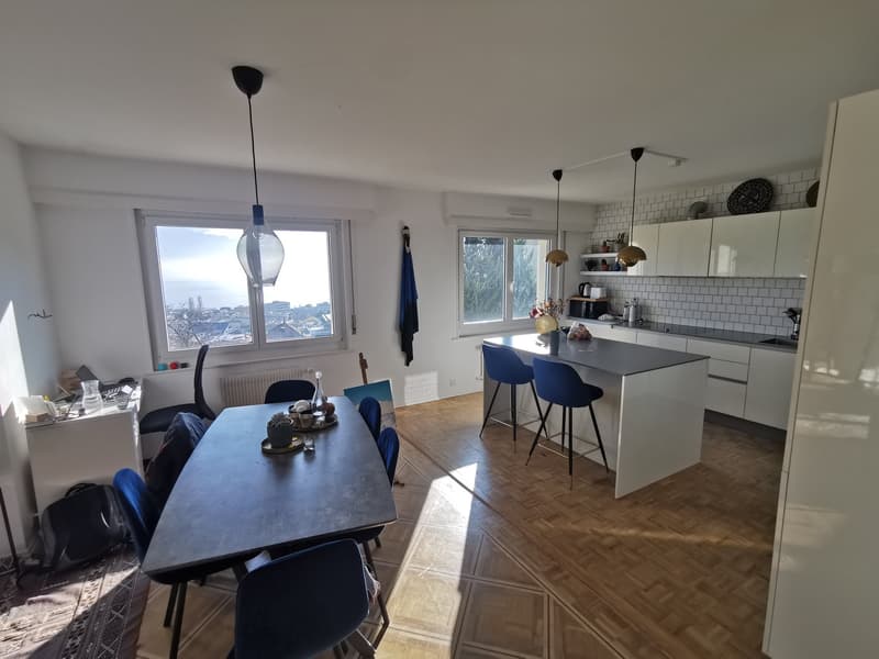 Cozy furnished room in sunny lake view flat (7)