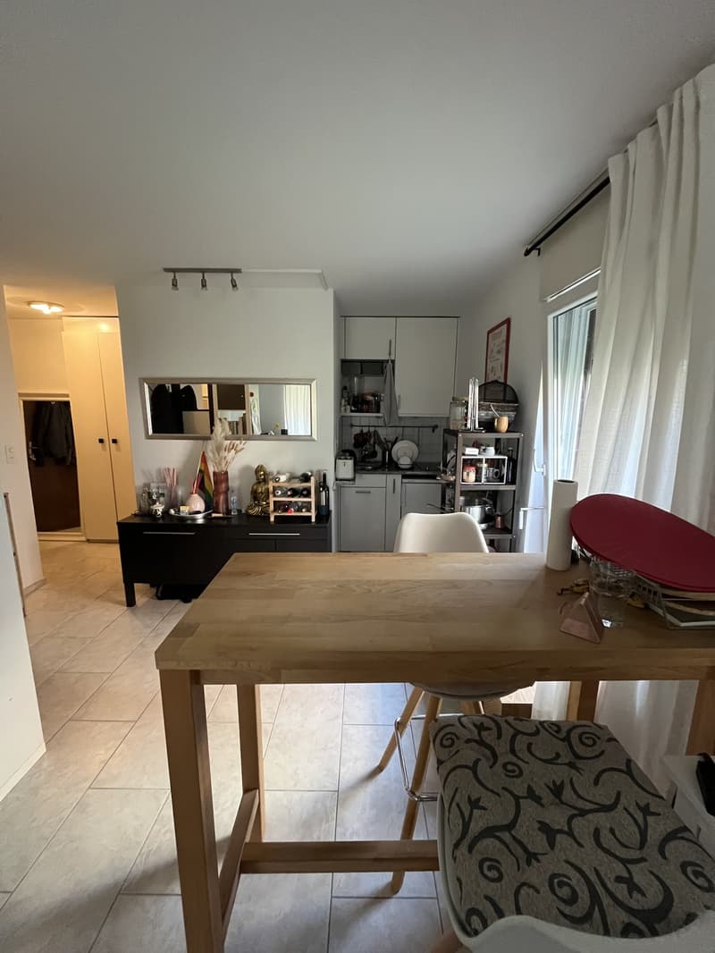 Möbliertes 1-Zimmer-Wohnung zur Untermiete (1)