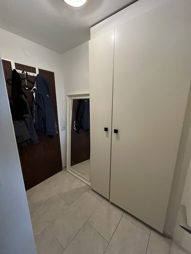 Möbliertes 1-Zimmer-Wohnung zur Untermiete (3)