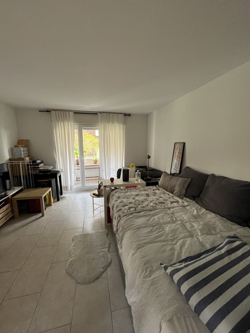 Möbliertes 1-Zimmer-Wohnung zur Untermiete (2)