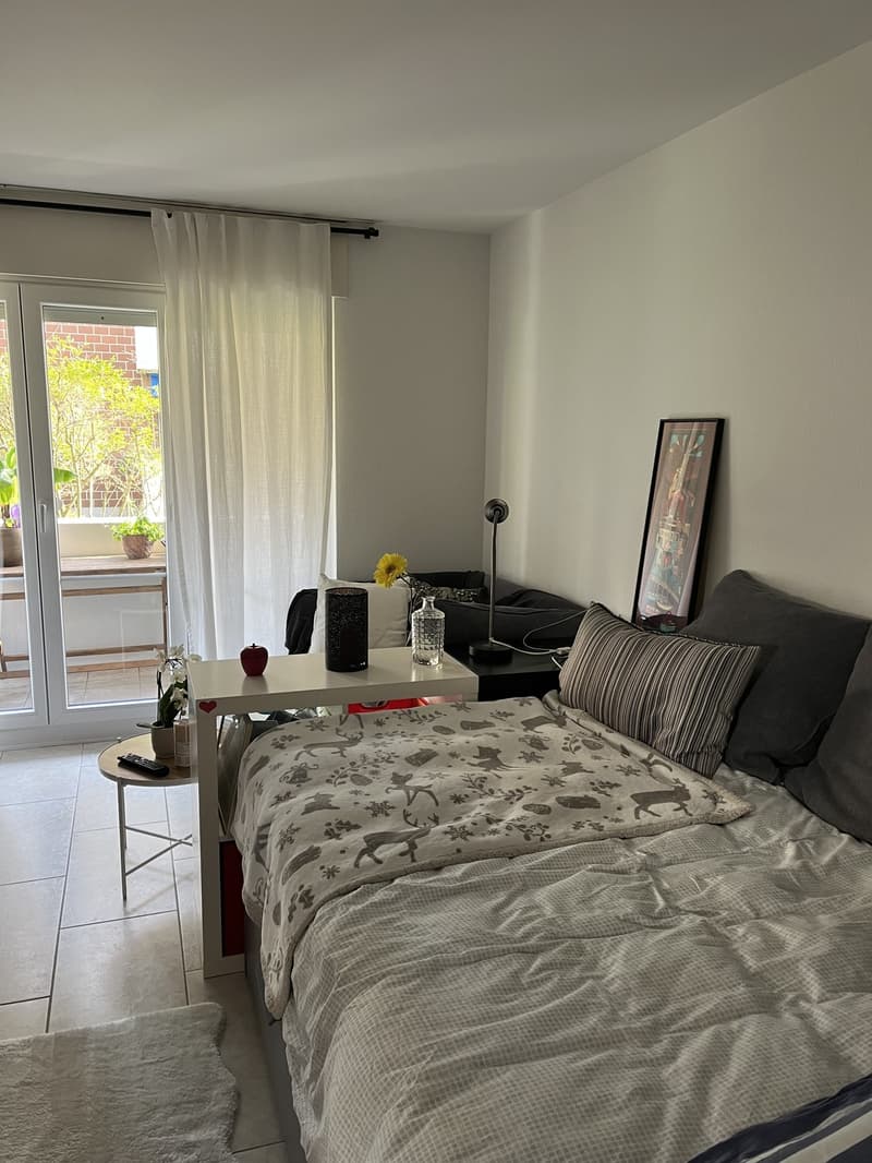 Möbliertes 1-Zimmer-Wohnung zur Untermiete (4)