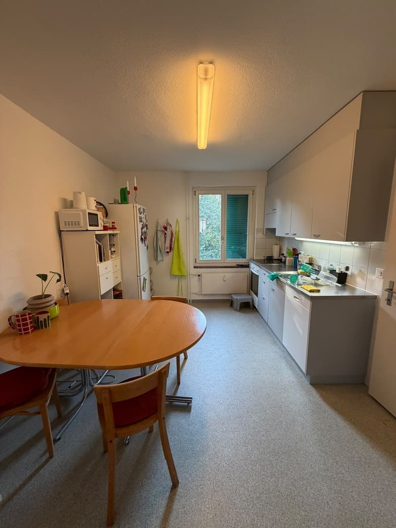 2 Bedroom Apartment for Rent in Bern (5)