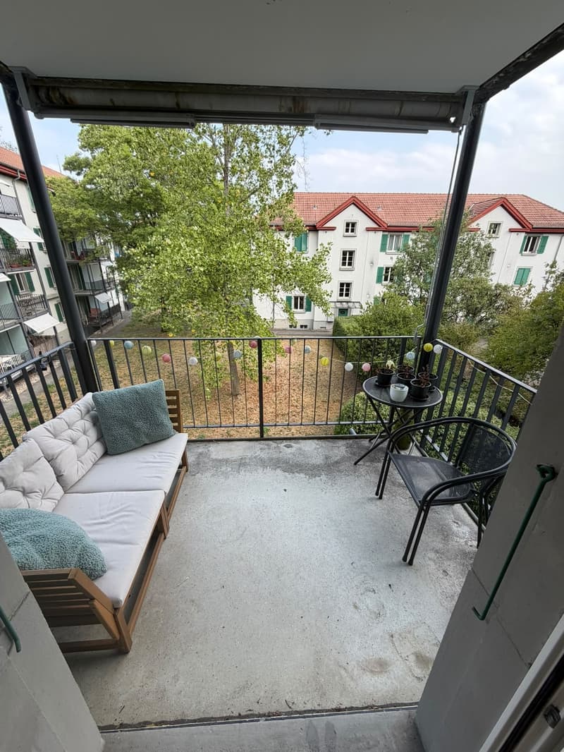2 Bedroom Apartment for Rent in Bern (2)