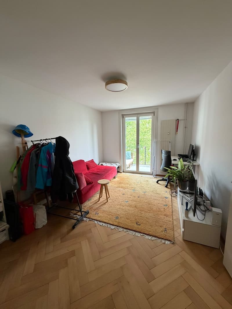 2 Bedroom Apartment for Rent in Bern (1)