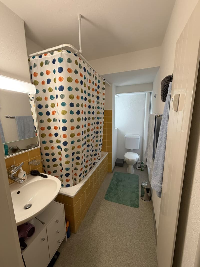 2 Bedroom Apartment for Rent in Bern (3)