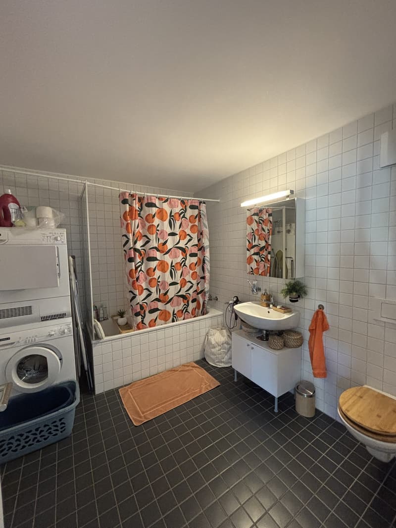 Sublet 2.5-room apartment Fribourg (Arsenaux) (6)
