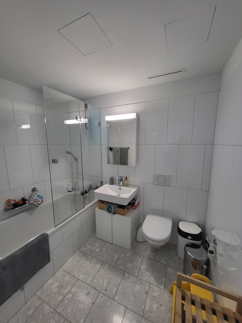 Appartement spacieux 3,5 pièces avec vue imprenable (5)