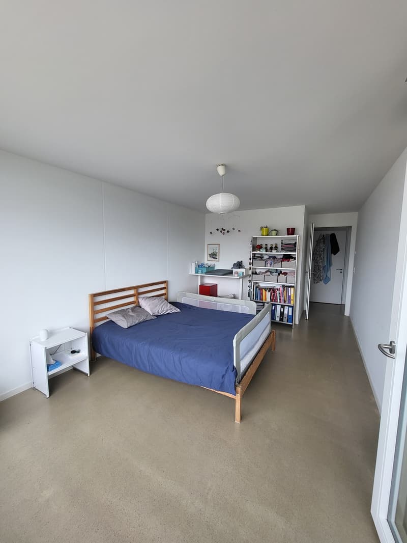 Appartement spacieux 3,5 pièces avec vue imprenable (8)