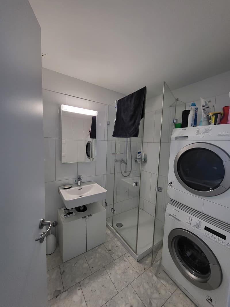 Appartement spacieux 3,5 pièces avec vue imprenable (2)
