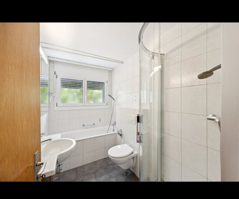 Tenant sought. Bright 4.5-room apartment with balcony (6)