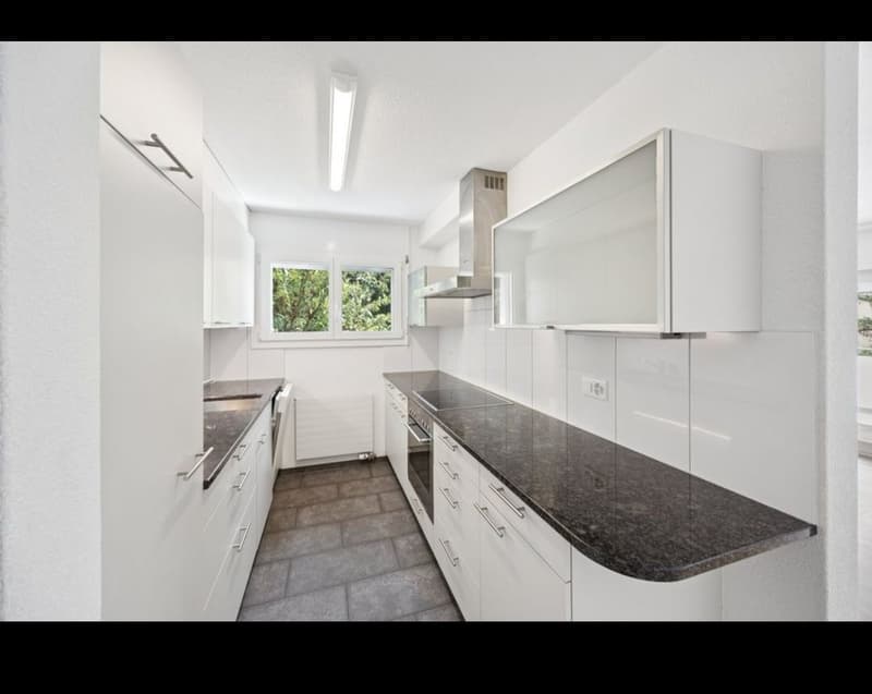 Tenant sought. Bright 4.5-room apartment with balcony (5)