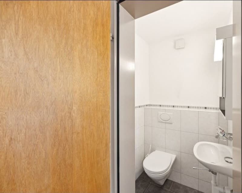 Tenant sought. Bright 4.5-room apartment with balcony (7)