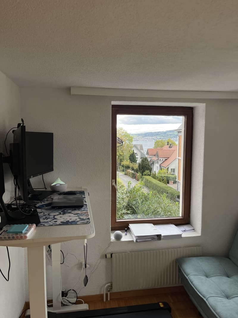 Office / Sleeping Room (Lake View)