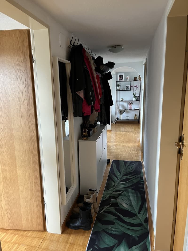 TEMPORARY! Dream Apartment with Lake View and Rooftop Terrace for Rent! Traumwohnung mit Seesicht und Dachterrasse zu vermieten! BEFRISTET (8)