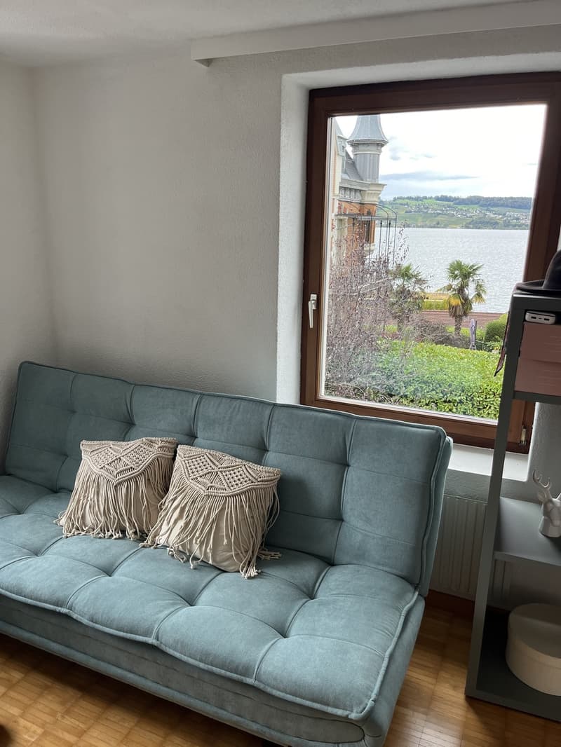 Office / Sleeping Room (Lake View)