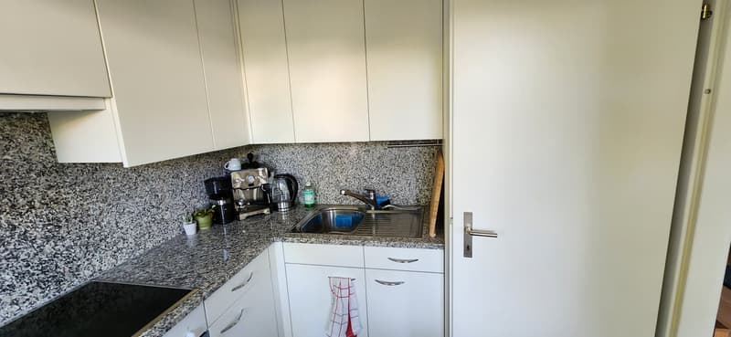 Bright 1.5-room studio with 20m² private garden in Urdorf (01 Sept-01 Oct) (5)